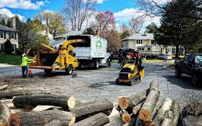 Best Lawn Irrigation Installation and Maintenance  in Greentree, NJ