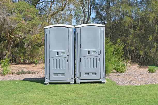 Best Pest Control for Lawns  in Greentree, NJ