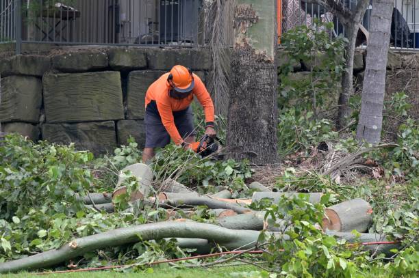Best Commercial Tree Services  in Greentree, NJ
