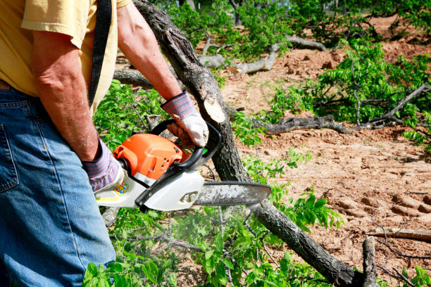 Organic Lawn Care Solutions in Greentree, NJ